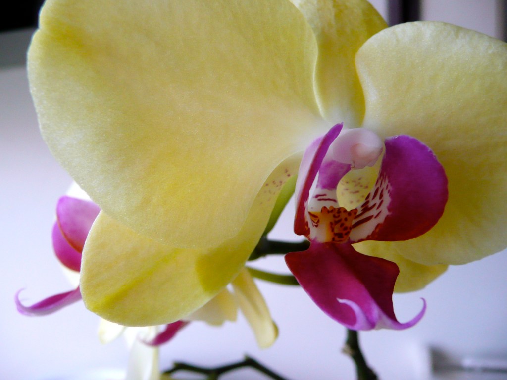 Fill yourself with positive, nurturing and healing&nbsp;thoughts!