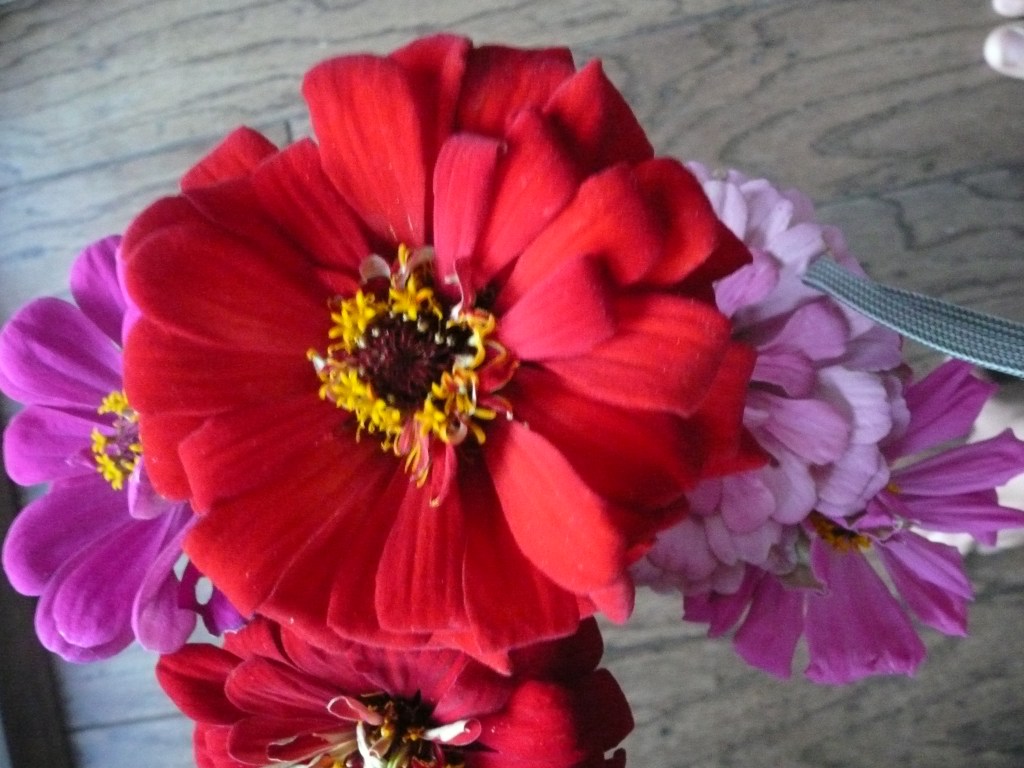 Restoration of calm weather and perfect harmony, calm seas, sunny skies and normal water levels.