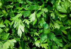 parsley