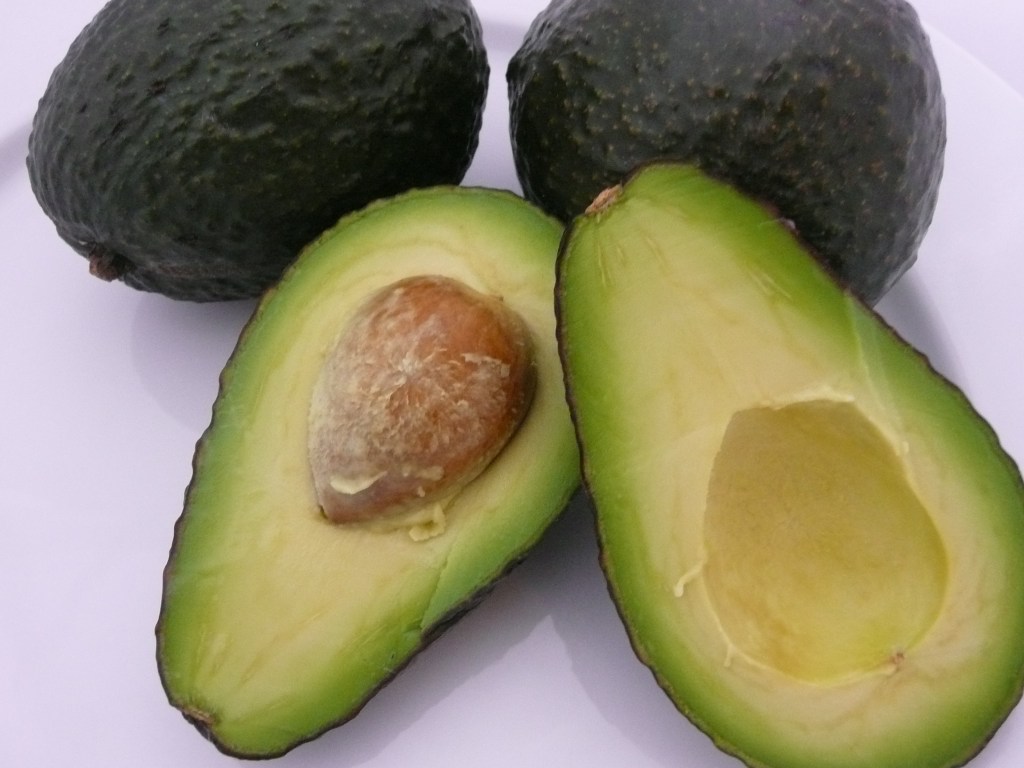 Pre-Fast Prep Plan – Day&nbsp;1