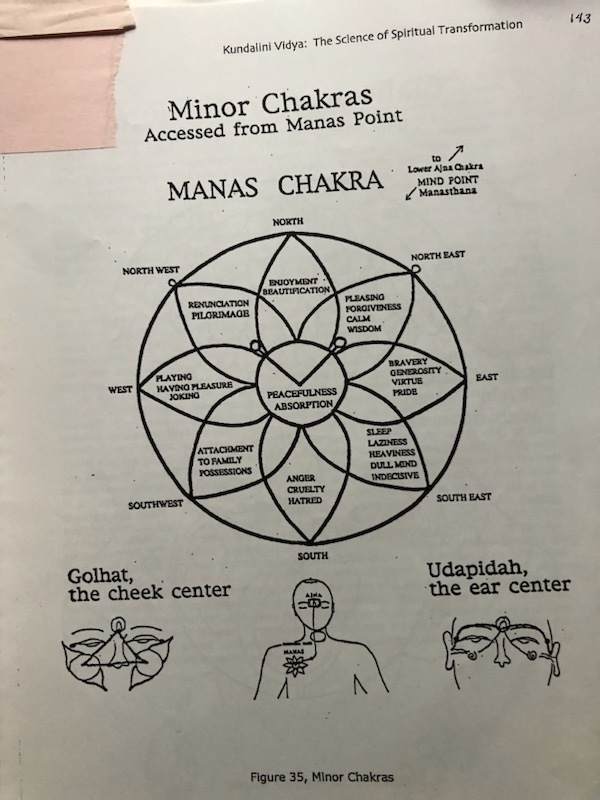Joyful Equanimity = 8 petal manas Padma = emotional heart