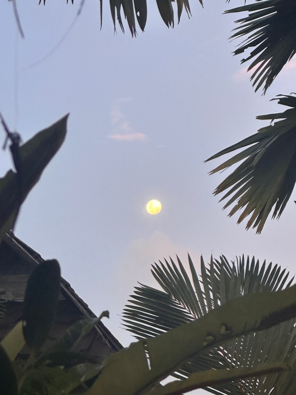 Releasing and Revealing: Embracing the Full Moon Lunar Eclipse in Hasta Nakshatra