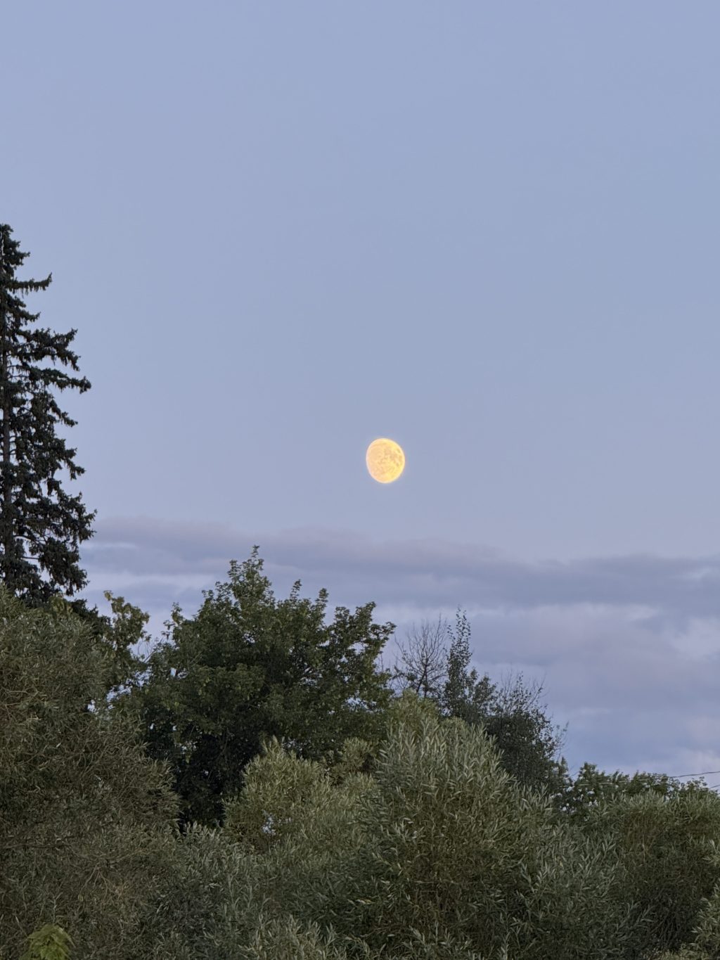 Full Moon in Capricorn – Shravana&nbsp;Nakshatra